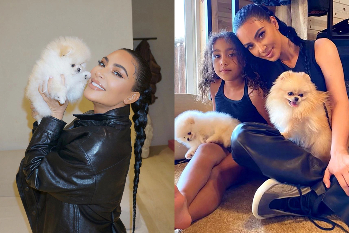 PETA Kim Kardashian