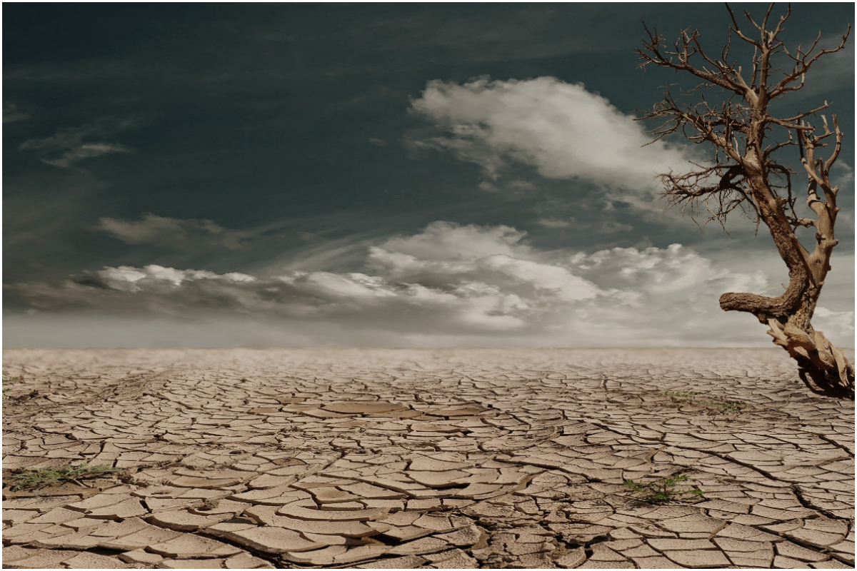 climate change