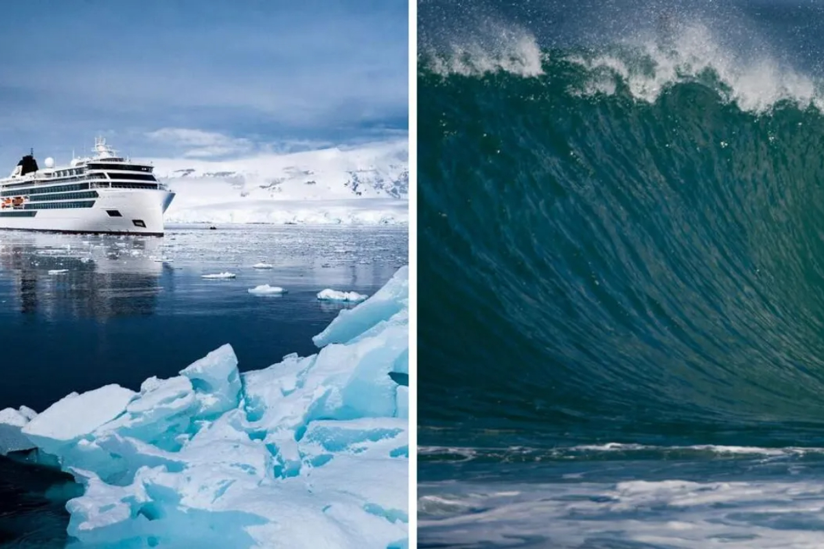 'Rogue wave'