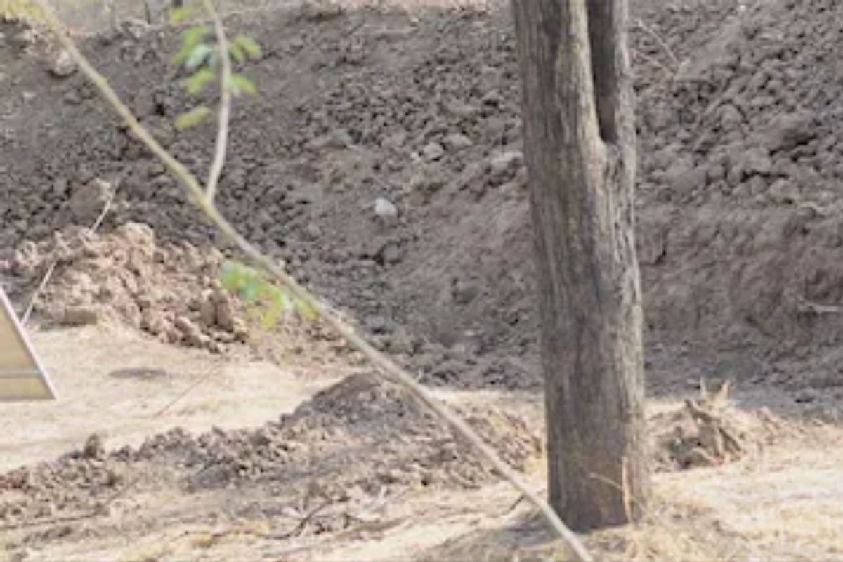 Internet has been searching