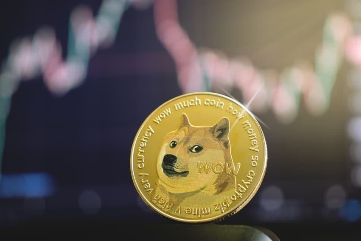 Doge Price