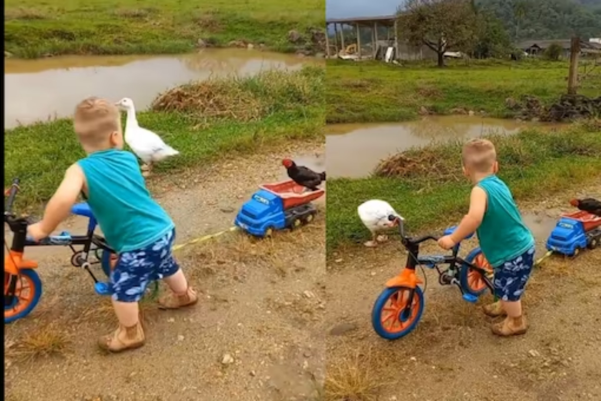 Kindness in Action
