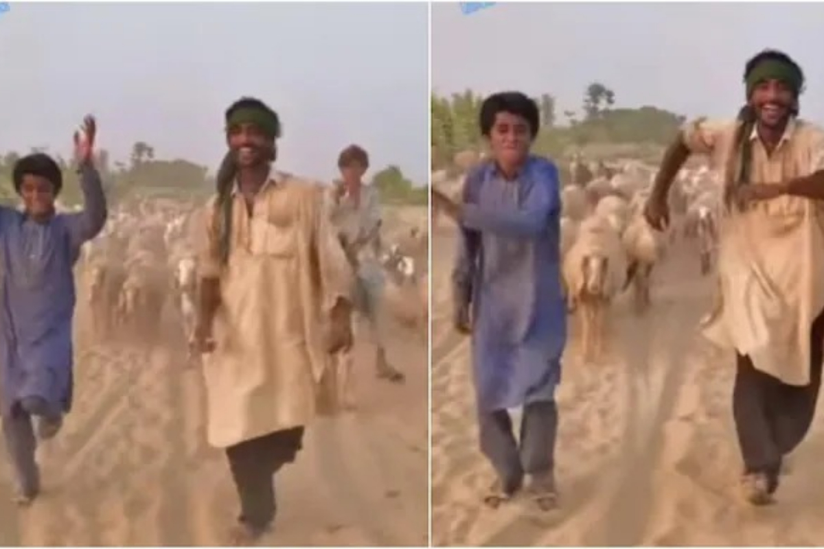 The shepherd dance to the song Dulhe Raja by Govinda goes viral