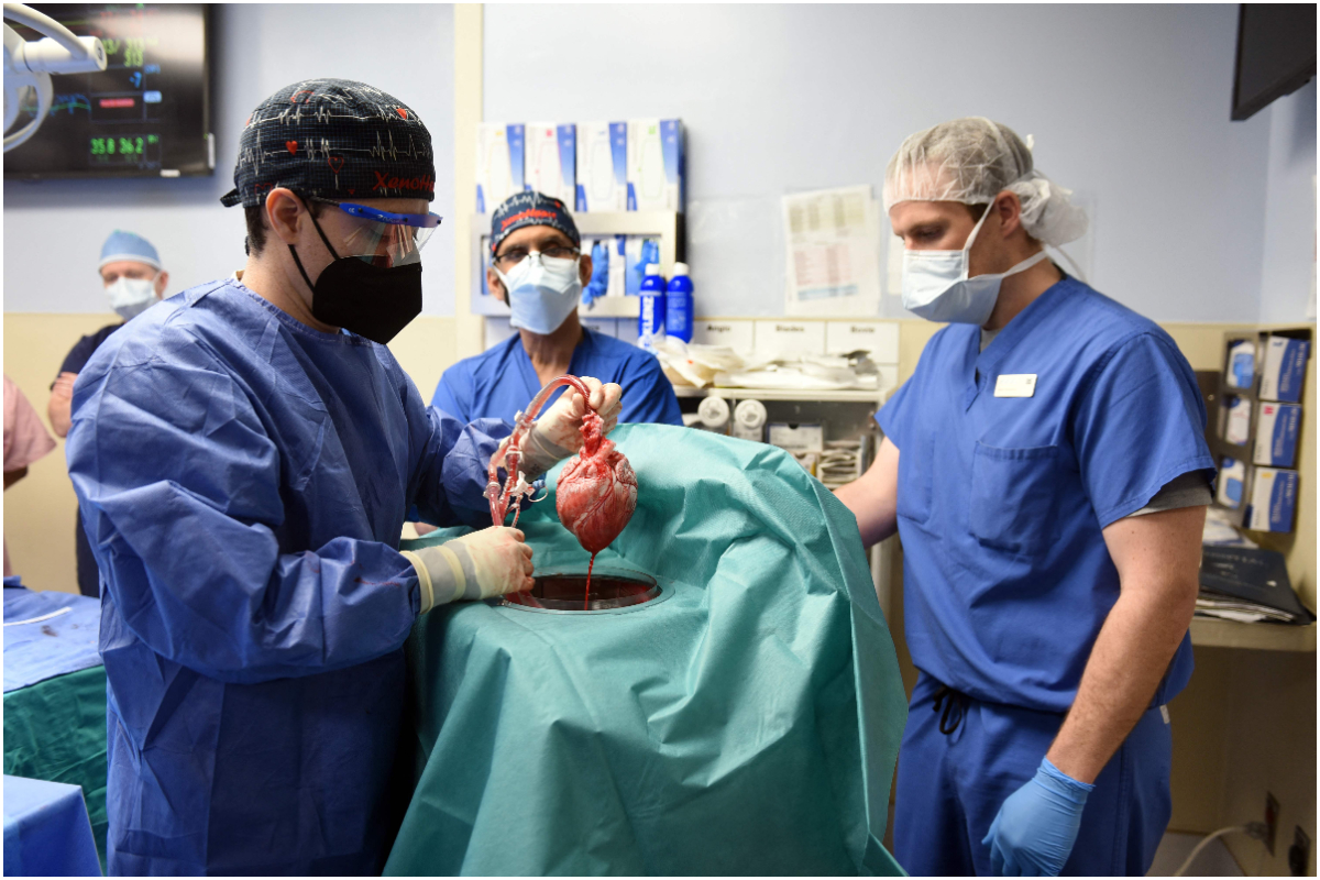 Heart surgeon