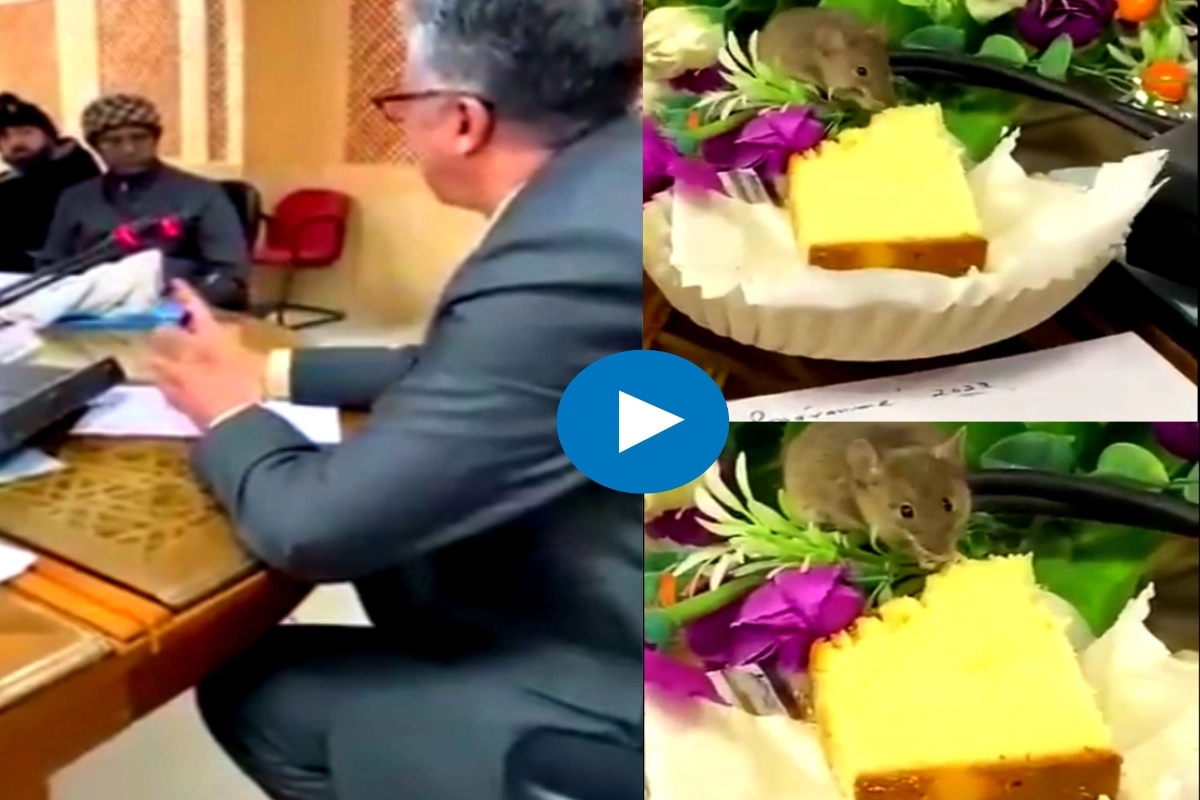 Is Pakistan source of popular video of a mouse eating cake during a meeting?