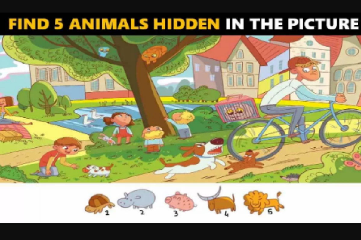 Picture Puzzle