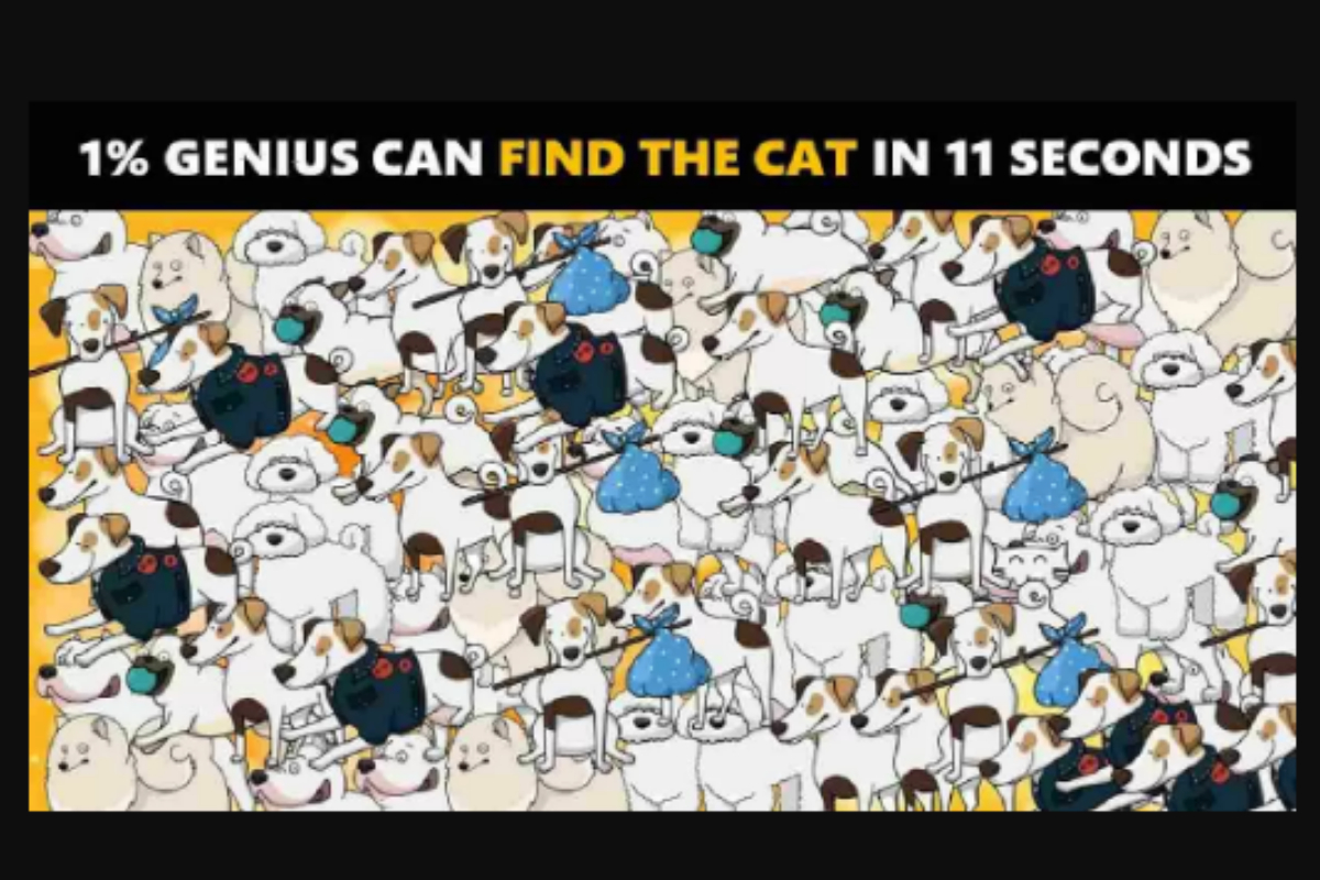 Picture Puzzle
