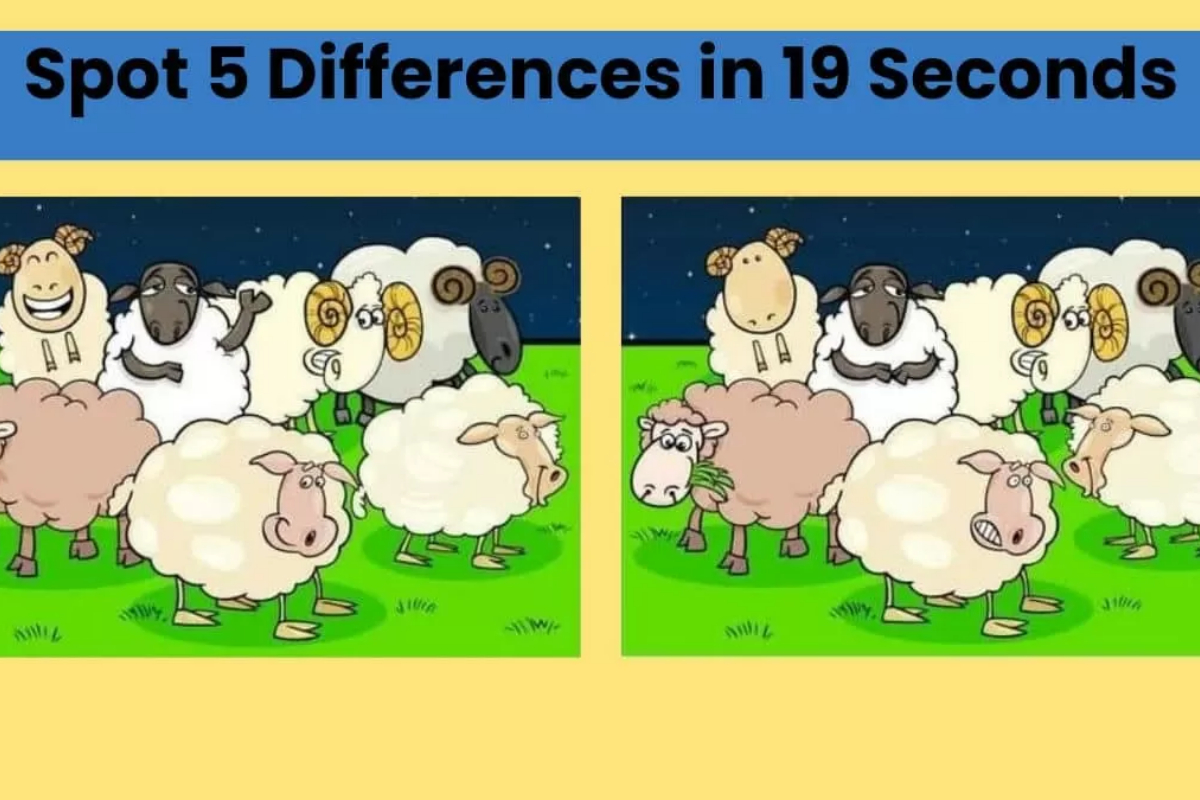 Spot The Difference