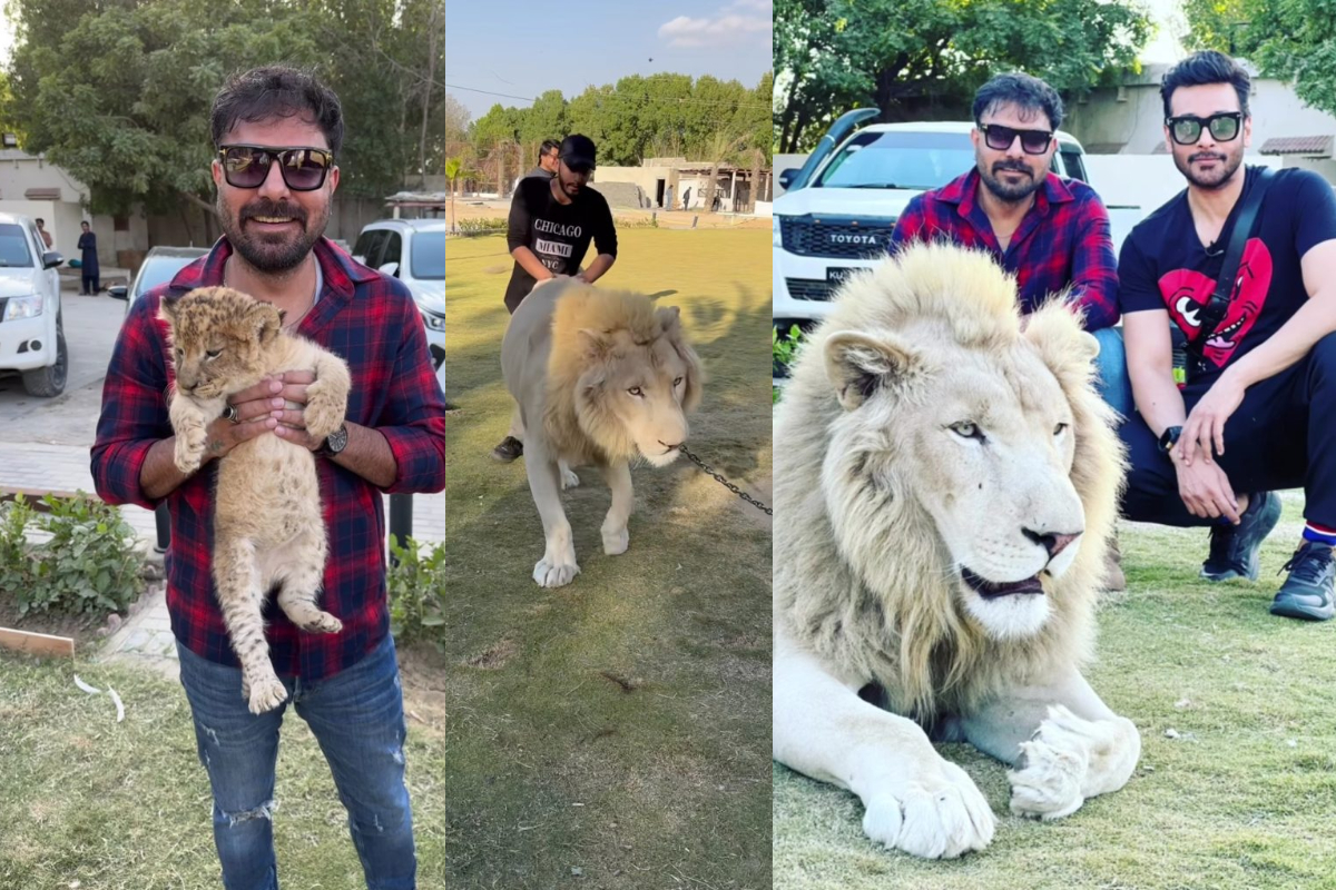 Yasir Hussain