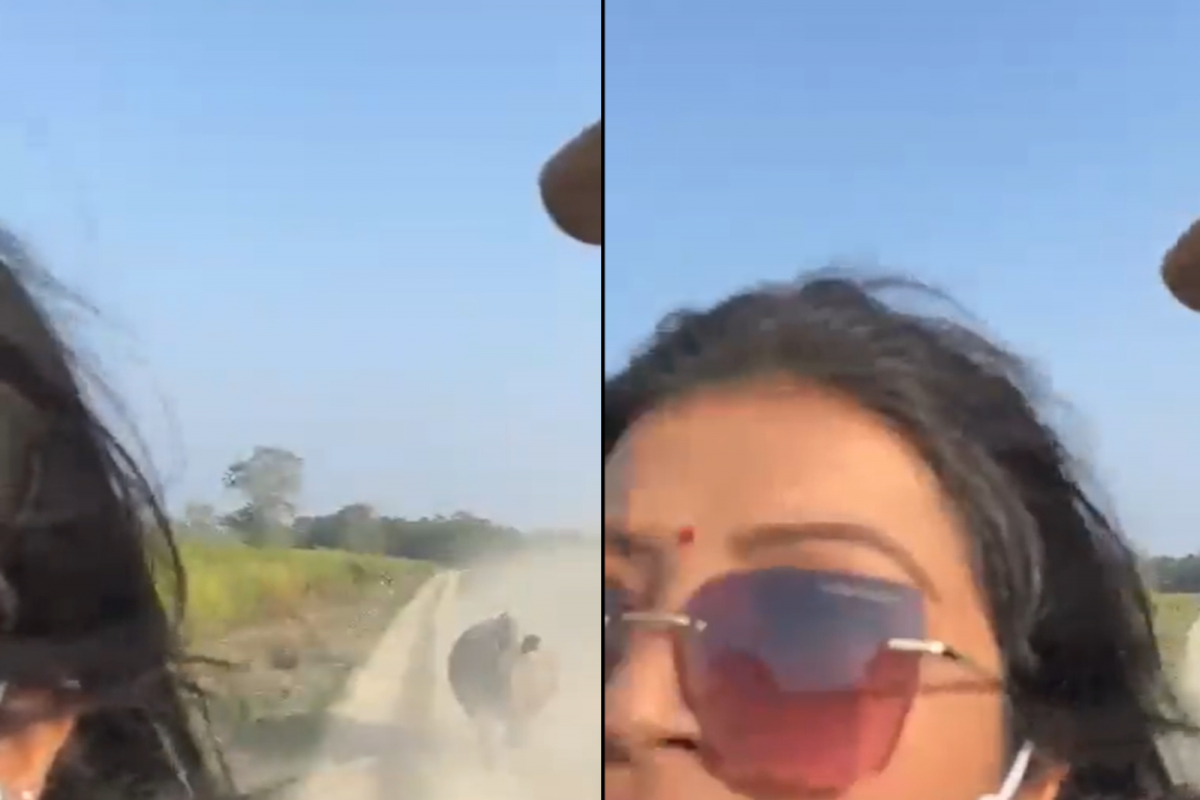 Rhino chases tourists