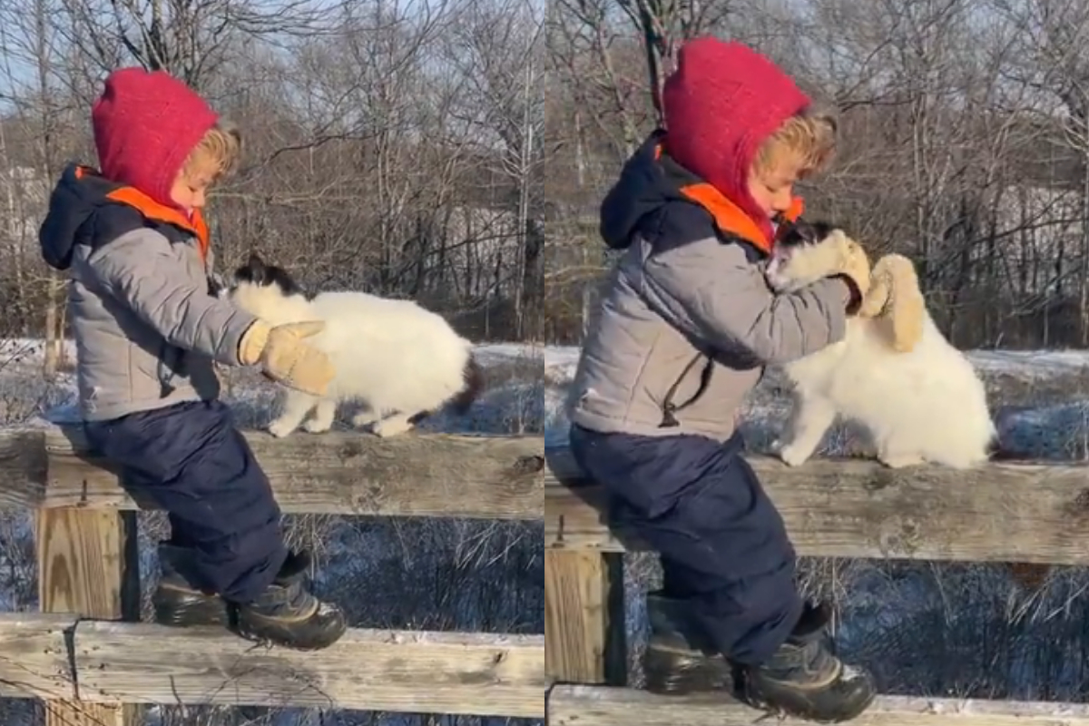 Toddler and cat