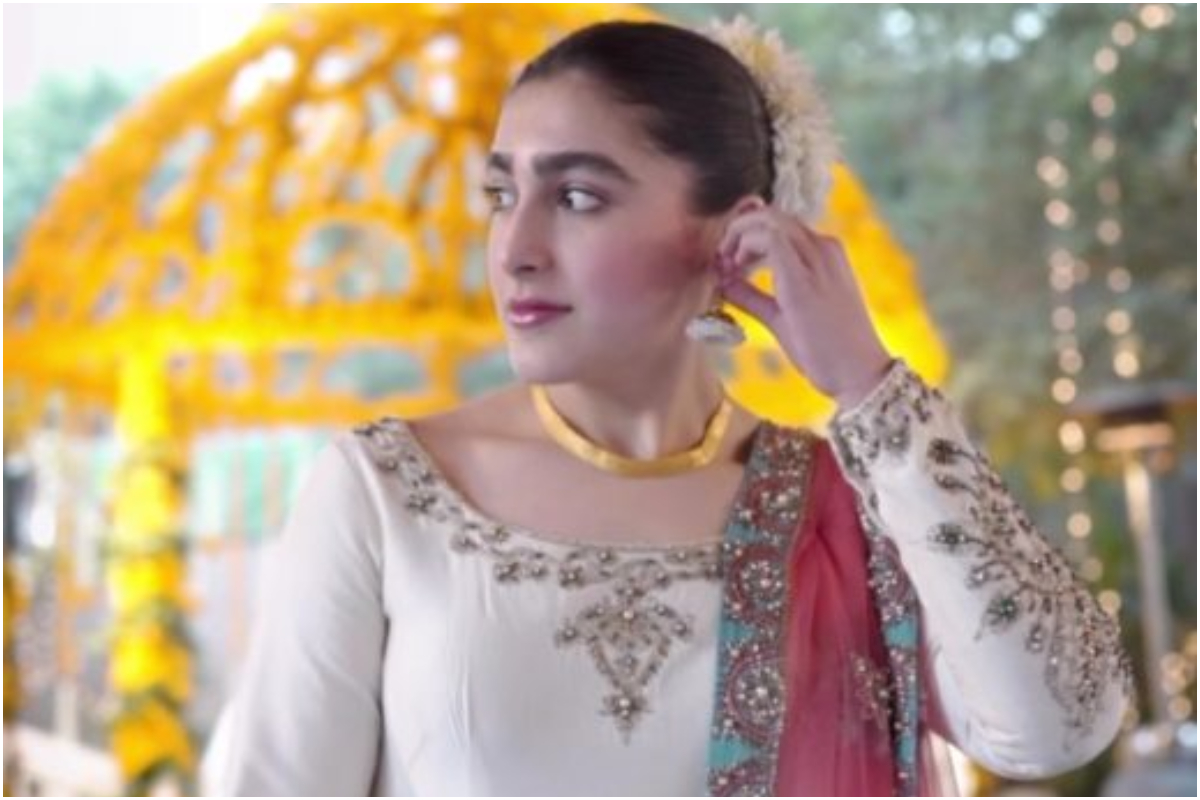 Shaan Shahid
