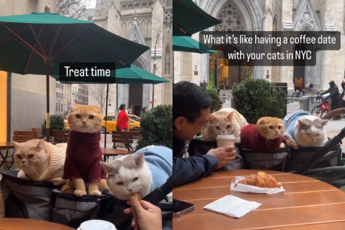 coffee date