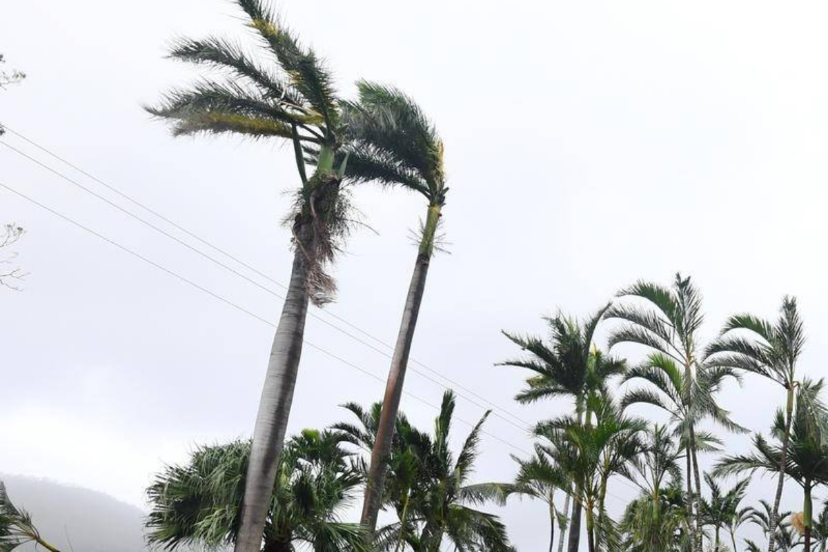 Cyclone Gabrielle