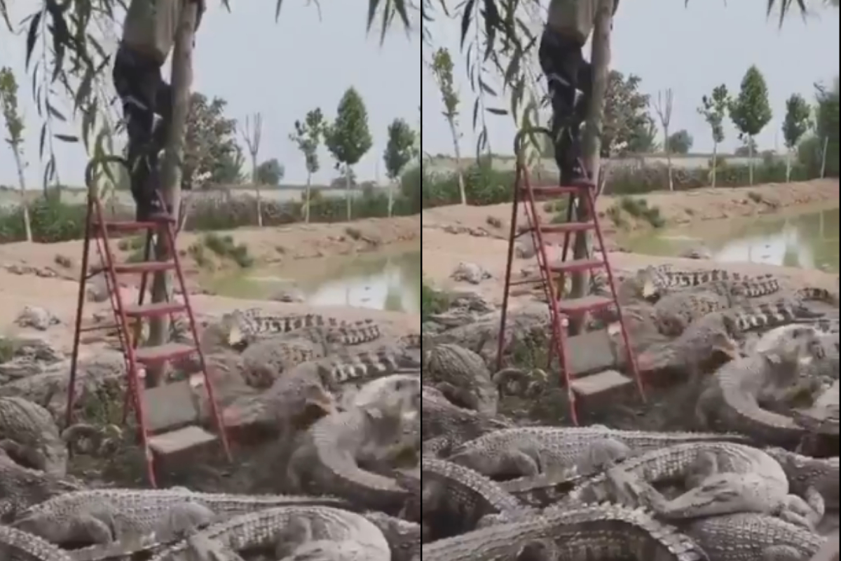 Man on step ladder