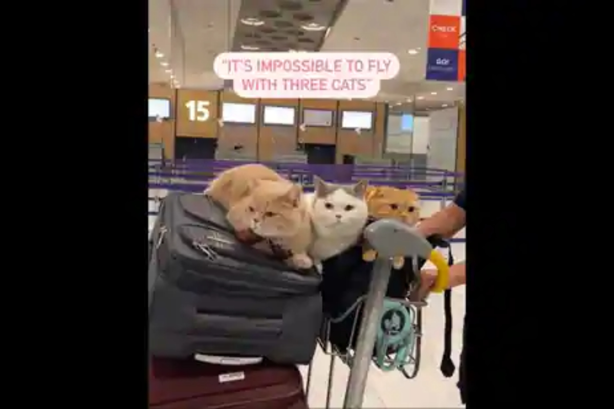 Man boards plane