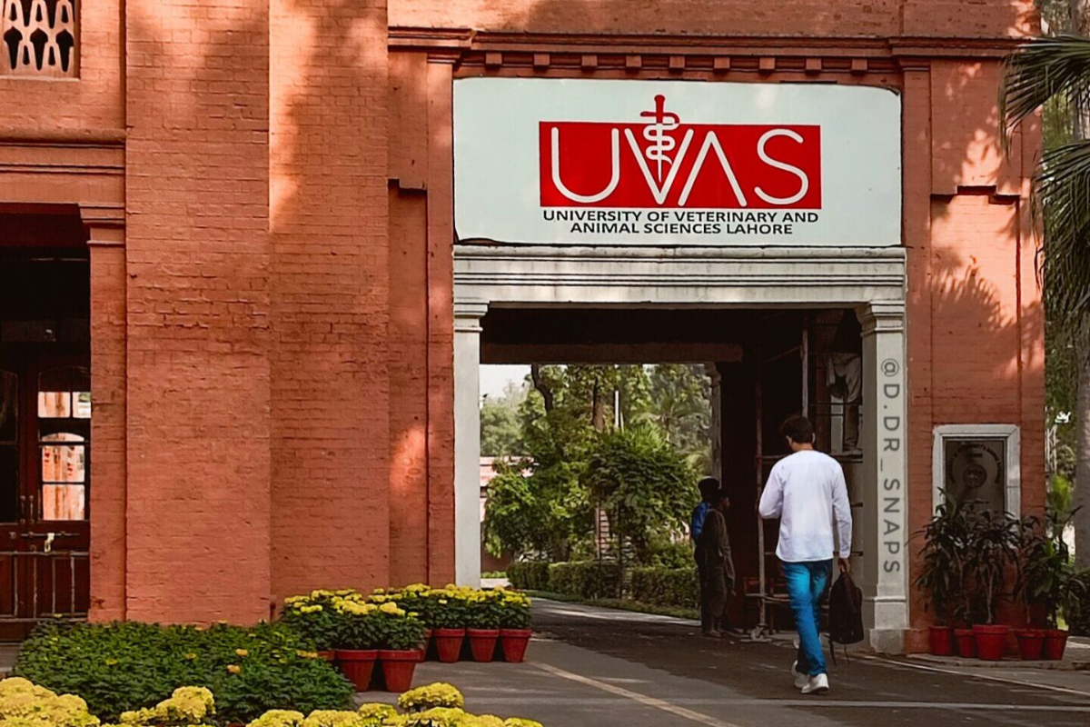 UVAS
