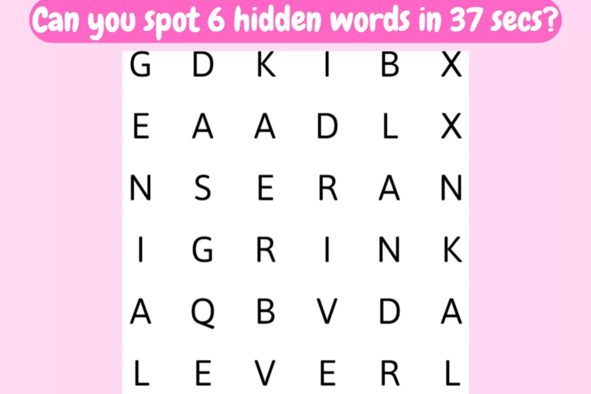 Word Search Puzzle