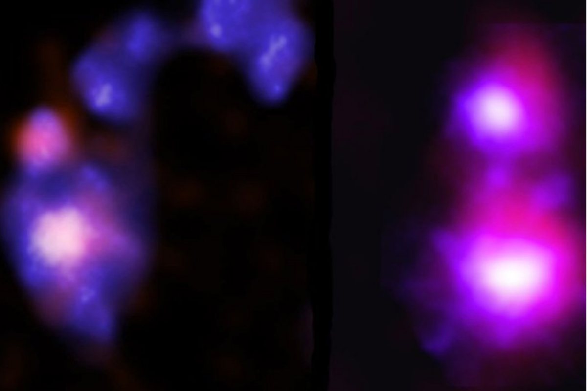 NASA black holes