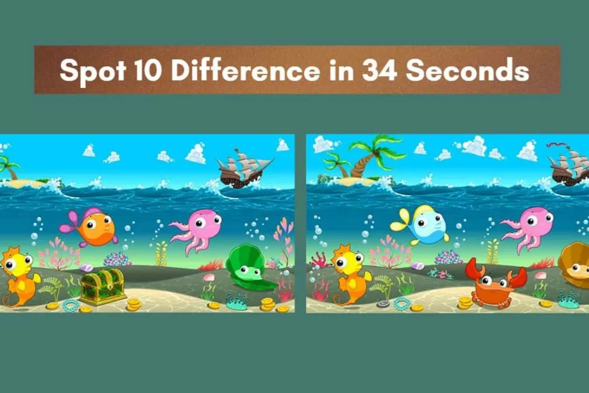 Spot The Difference
