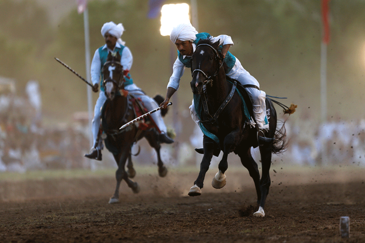 Tent Pegging World Cup