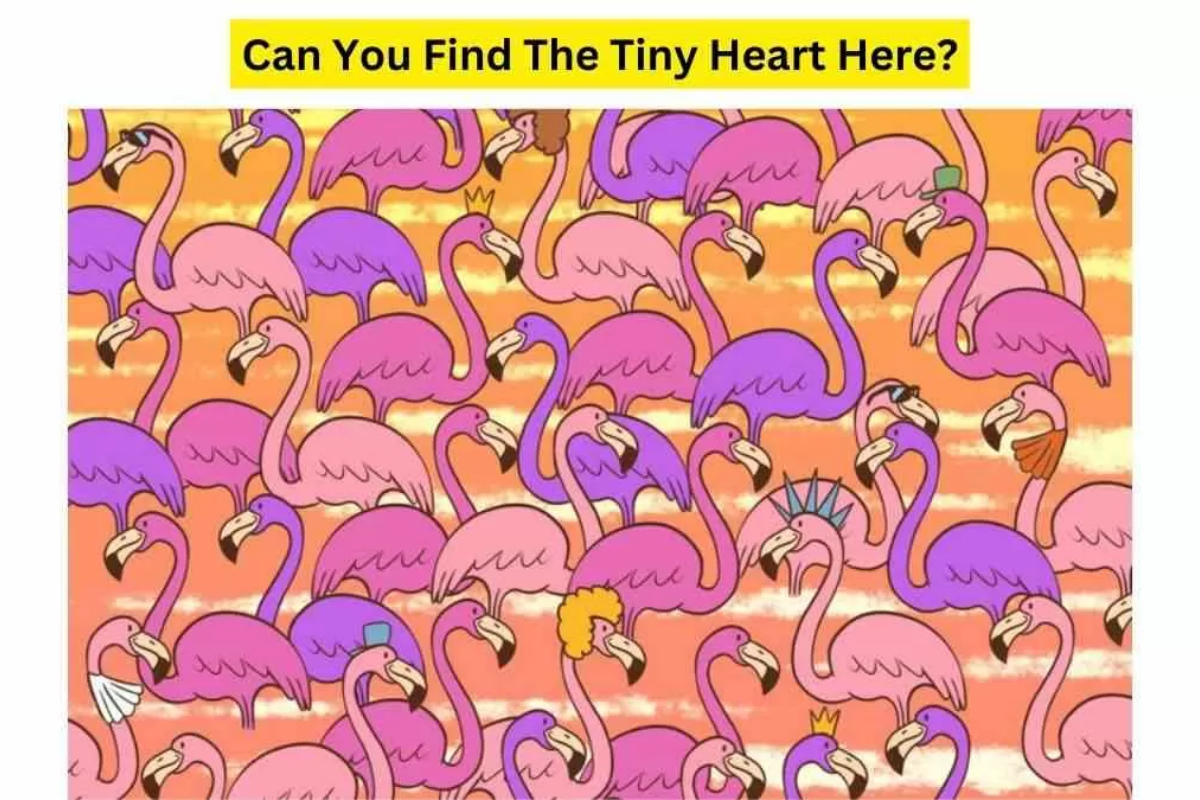Brain Teaser