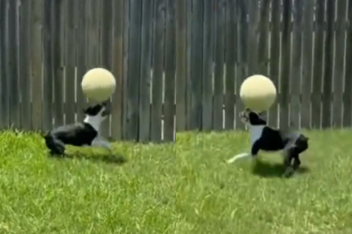balancing skills