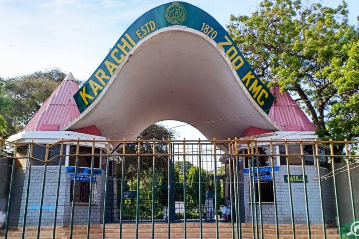 zoo