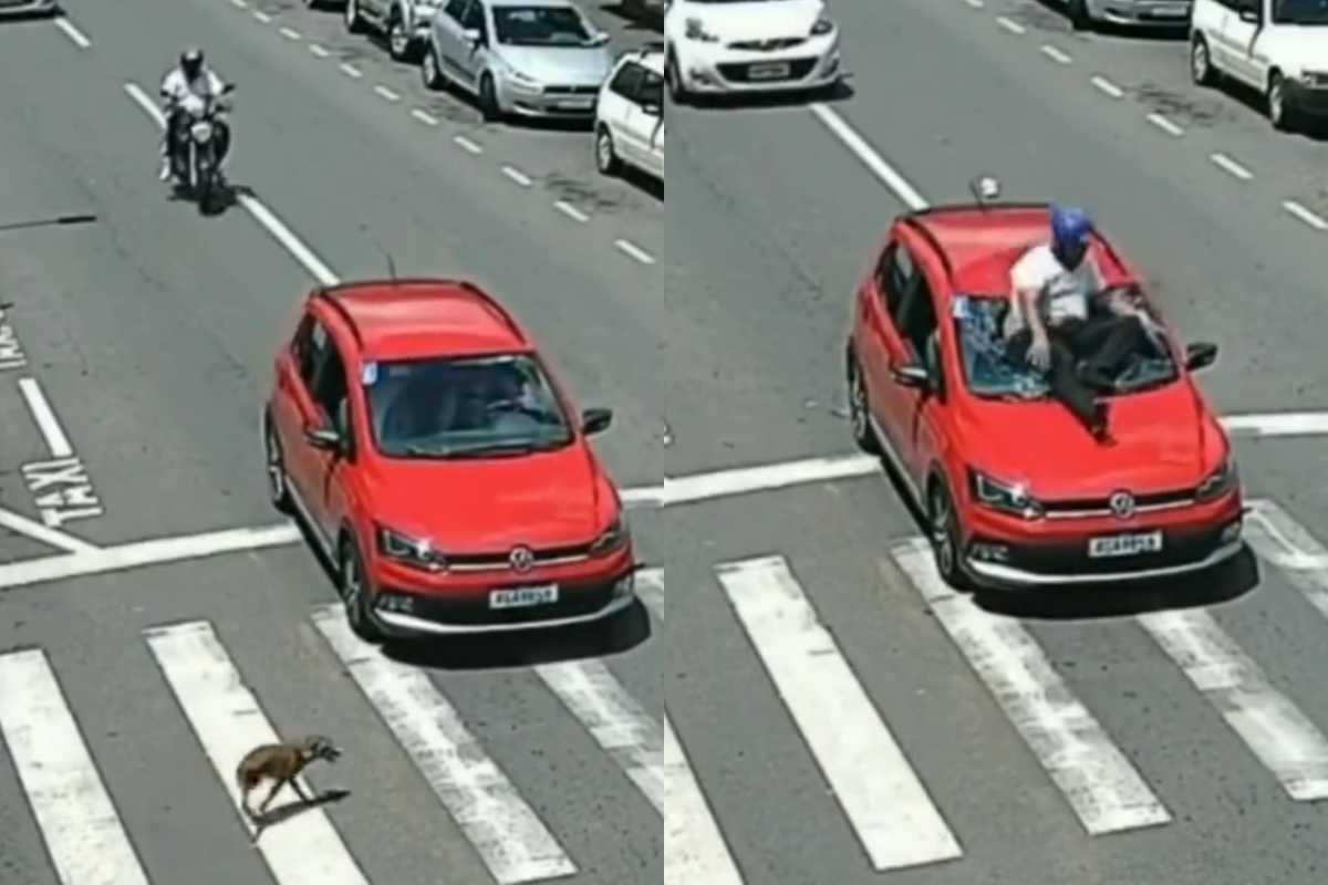 car windshield