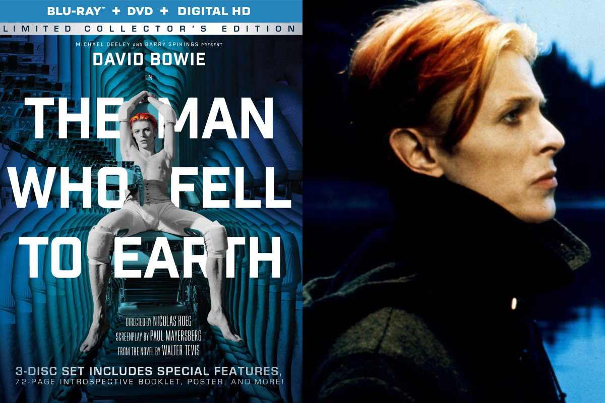 "The Man Who Fell to Earth"