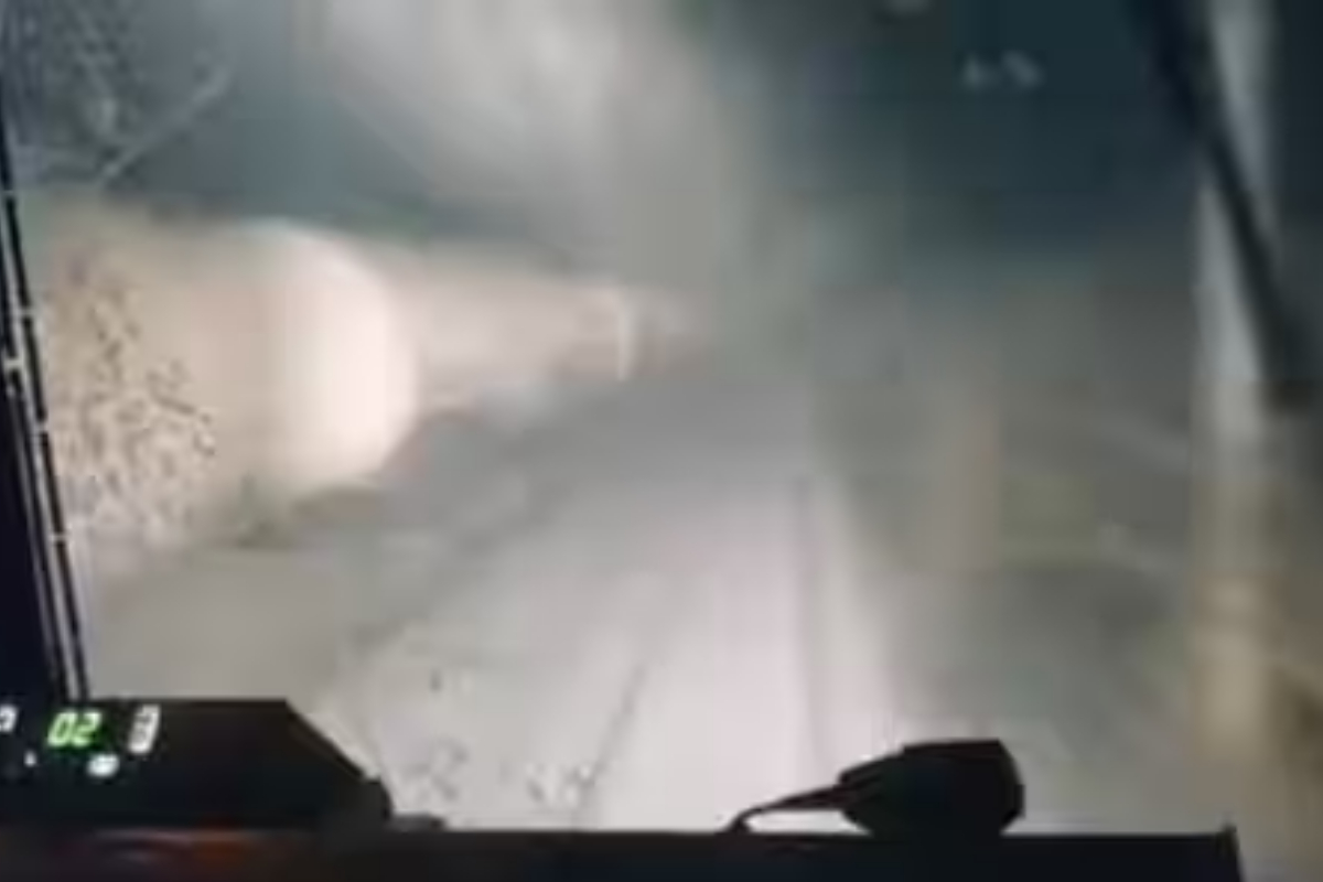 Elon Musk train