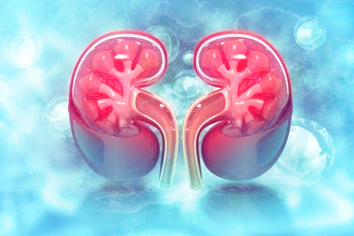 Chronic Kidney Disease