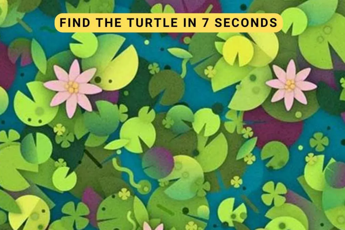 Optical Illusion