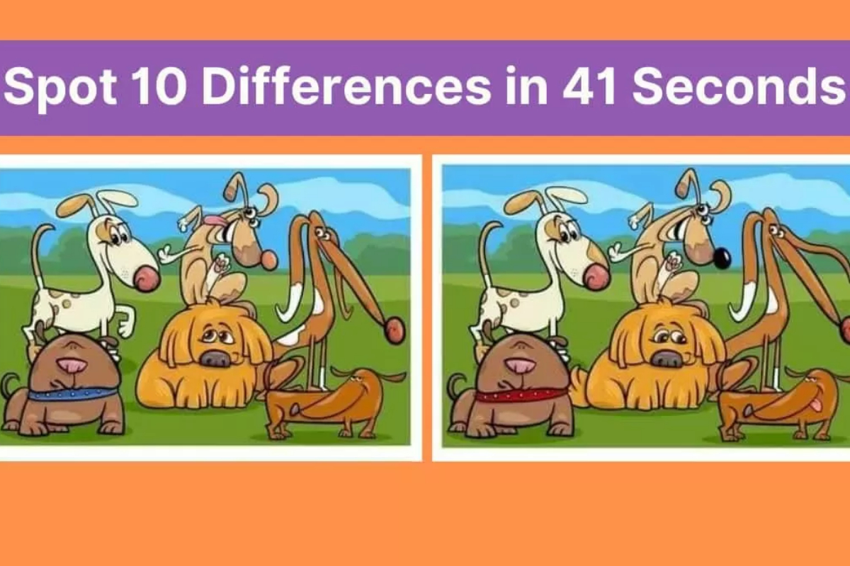Spot The Difference