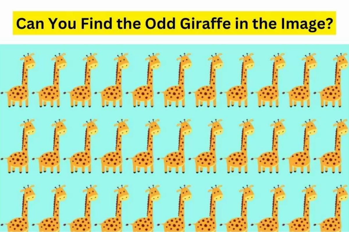 Brain Teaser