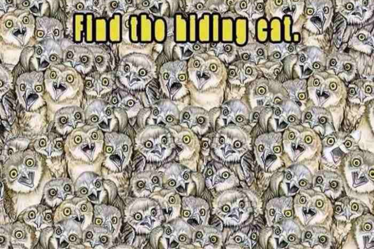 Optical Illusion