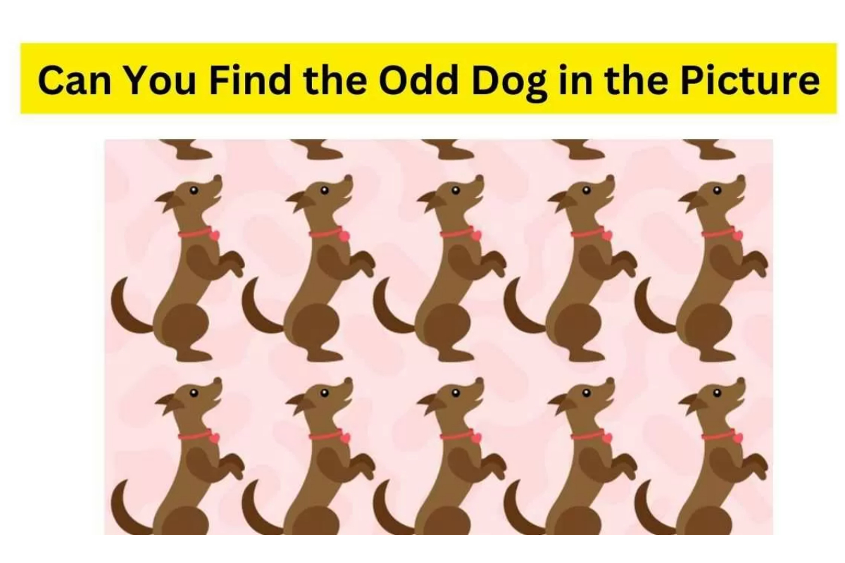 Brain Teaser