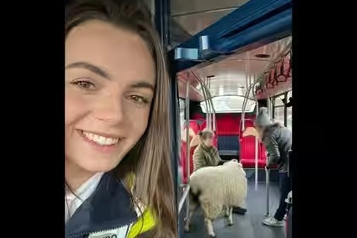 Viral