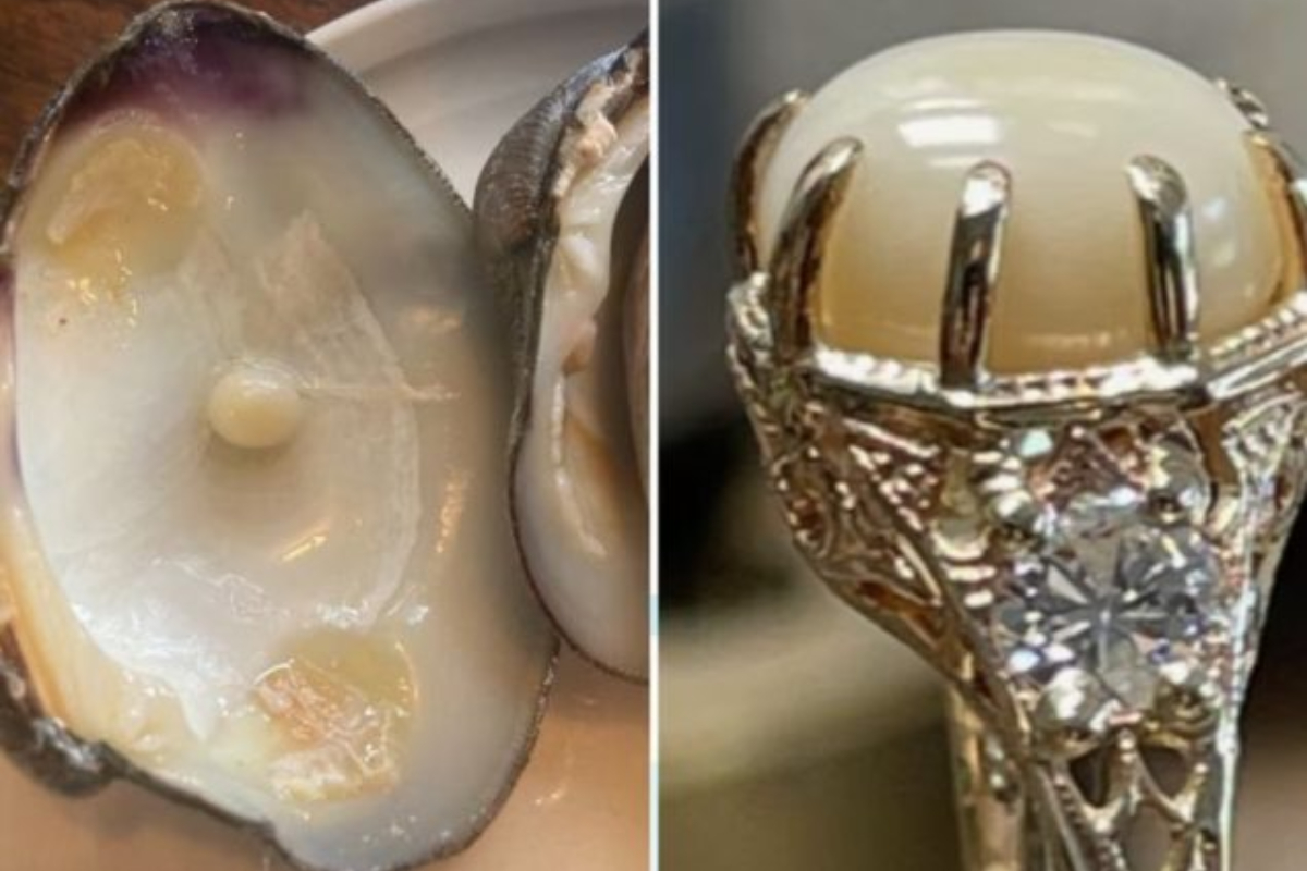 Rare Pearl Found in Clam Sparks Romantic Proposal