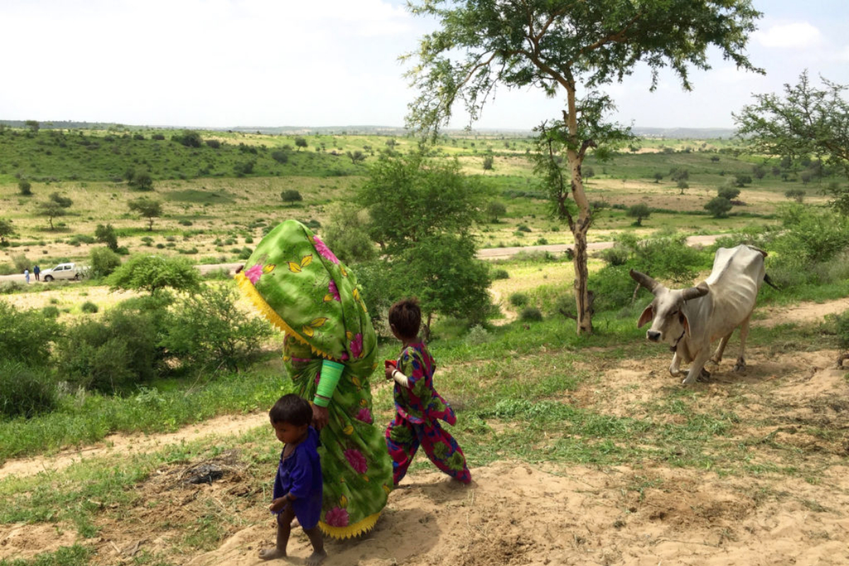 Biosaline agriculture workshop aims to empower Thar farmers