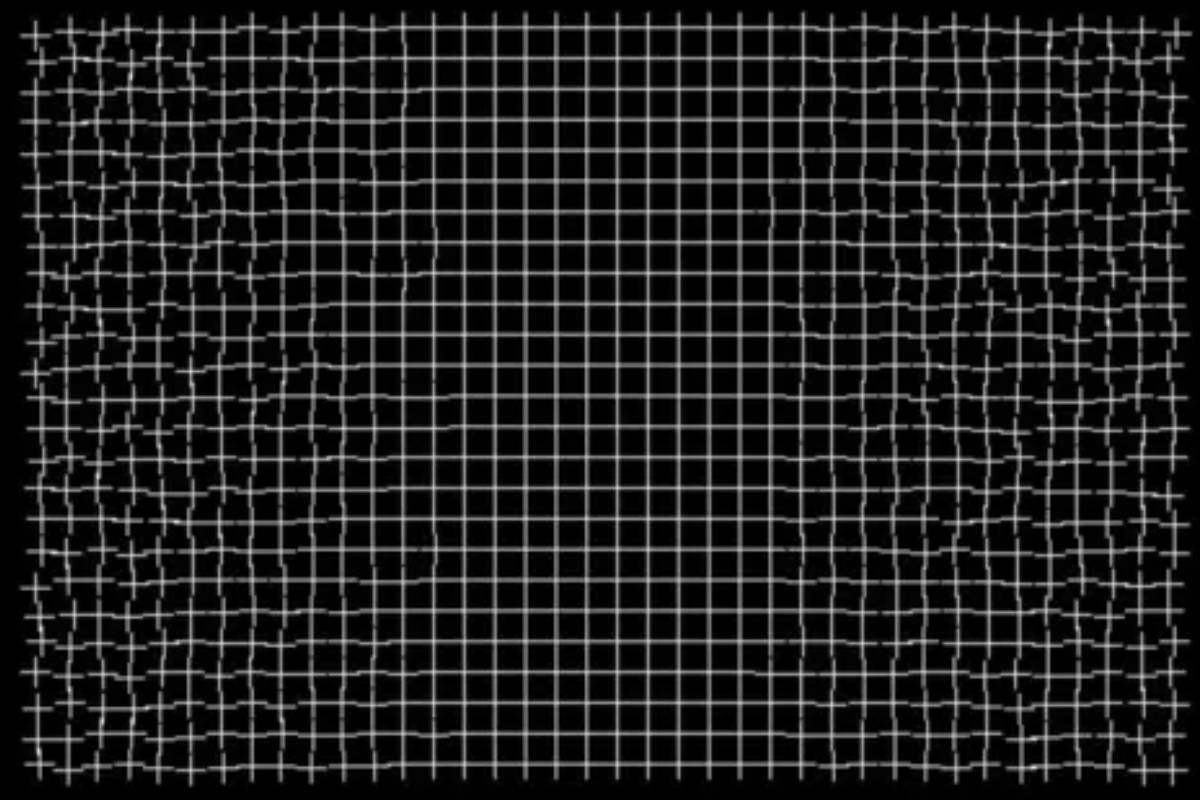 Netizens Baffled by Ryota Kanai's Healing Grid Optical Illusion