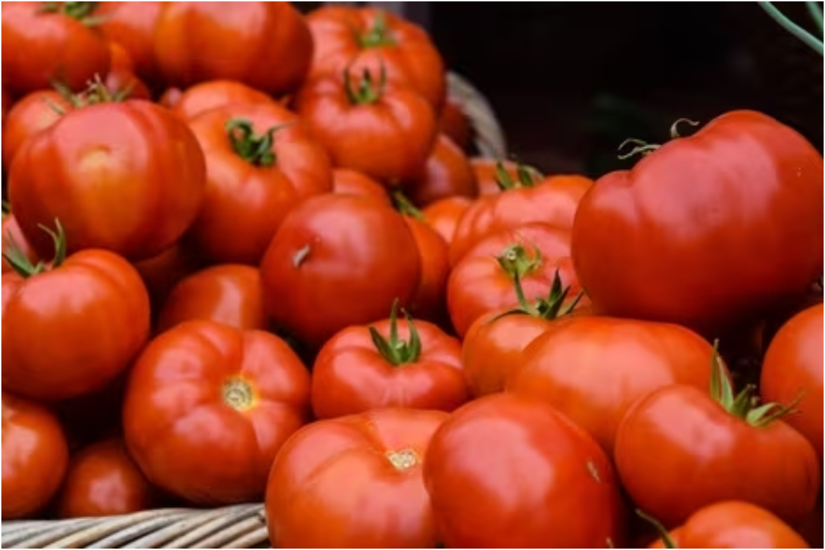 Tomato Prices Rise Across Pakistan; Check Latest Rates