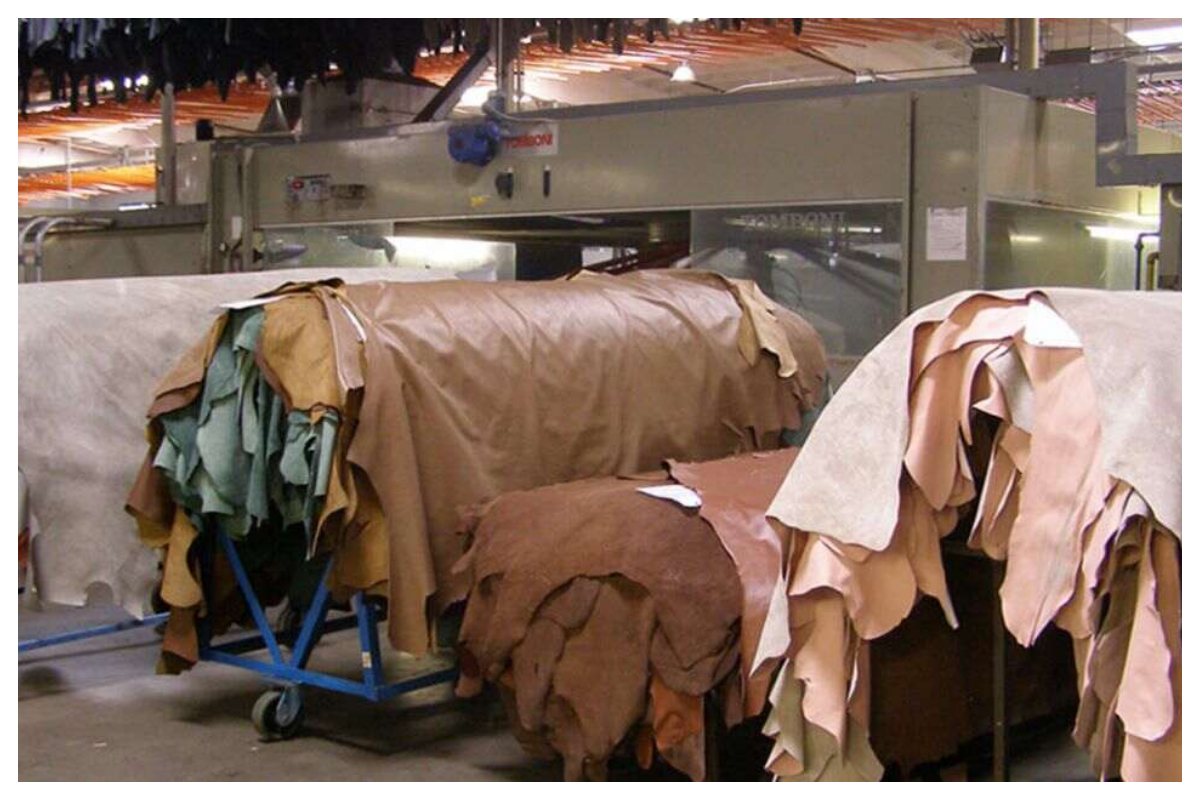Pakistan Leather