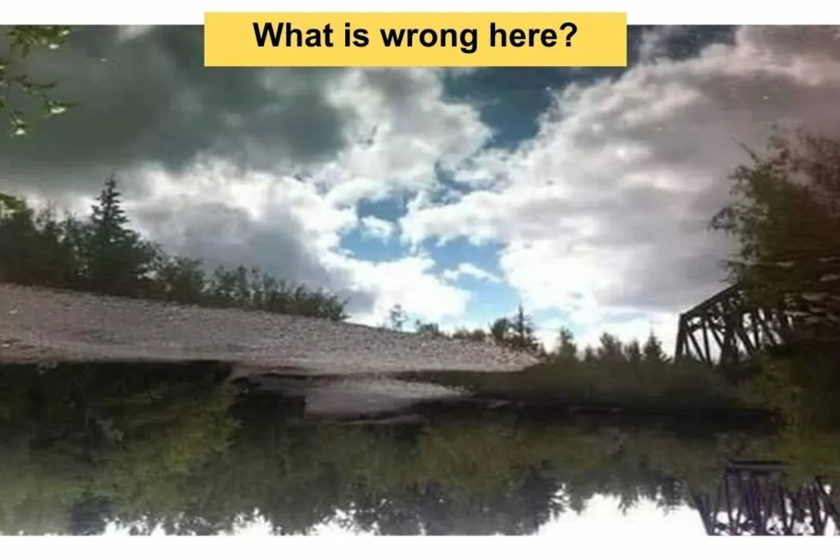 Brain Teaser: What's Wrong with This Picture? You'll Never Guess!