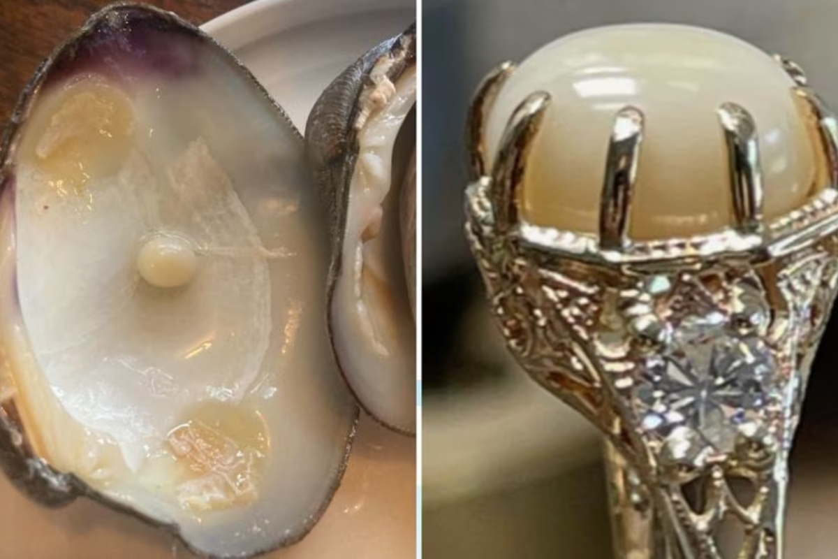 US Lucky couple finds rare pearl in clam, uses it to propose