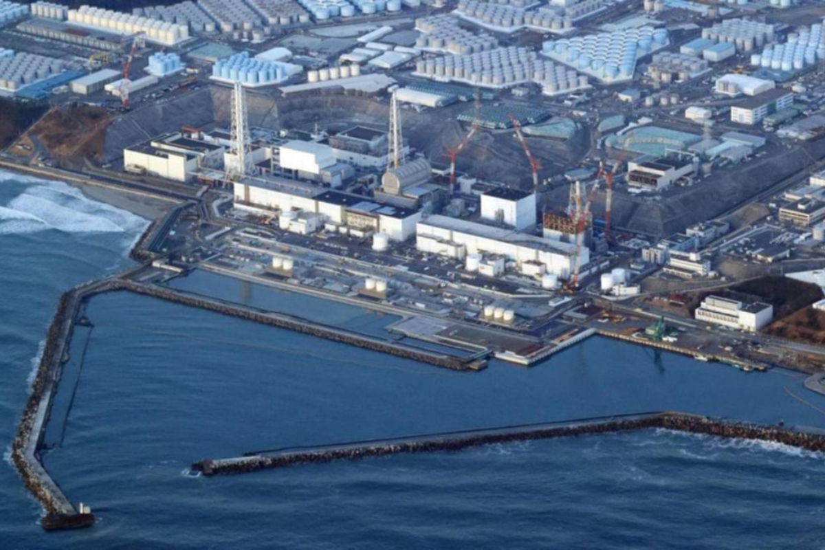 UN nuclear watchdog