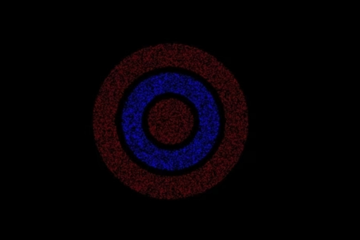 Mesmerizing Optical Illusion