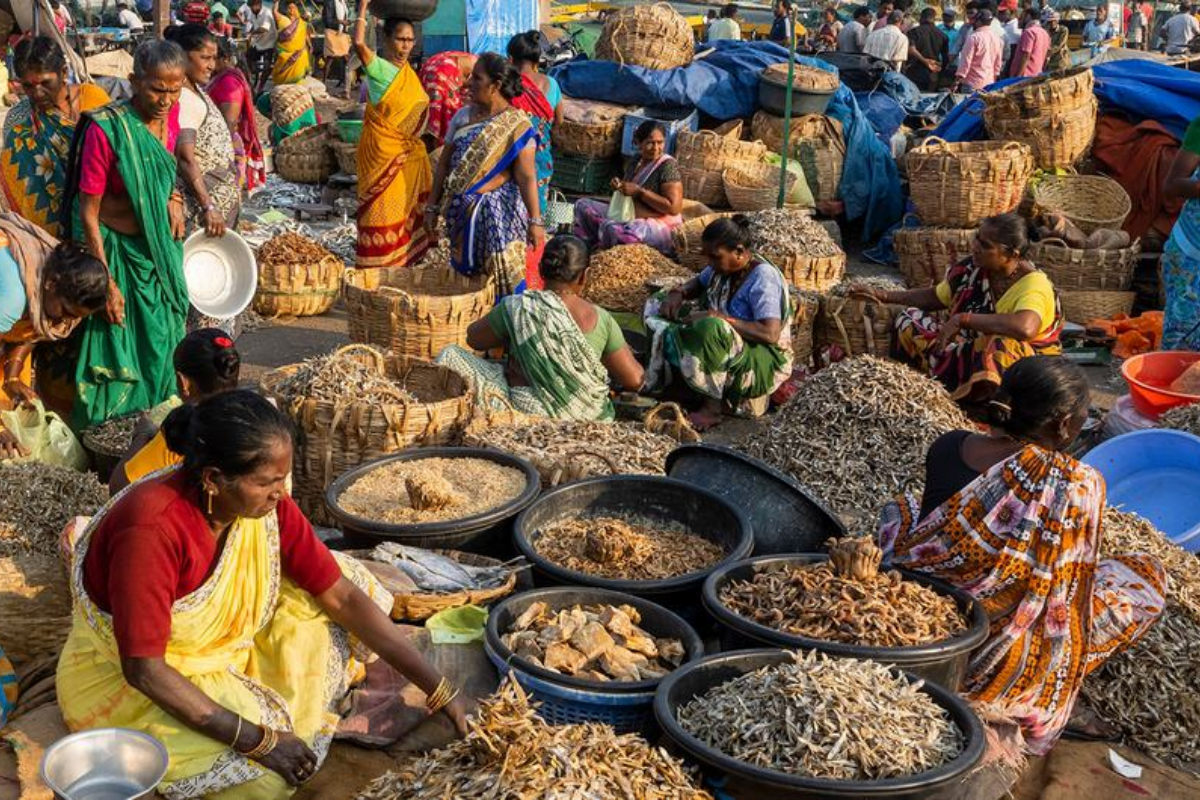 UN aims to address ‘broken’ global food system