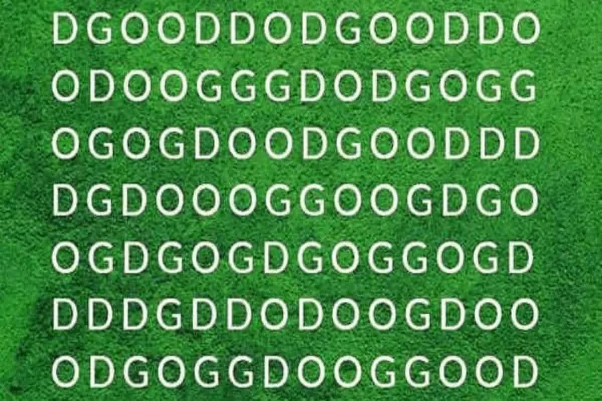 Brain Teaser