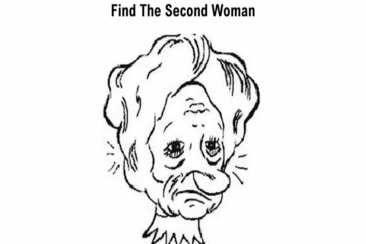 Seek and Find Puzzle